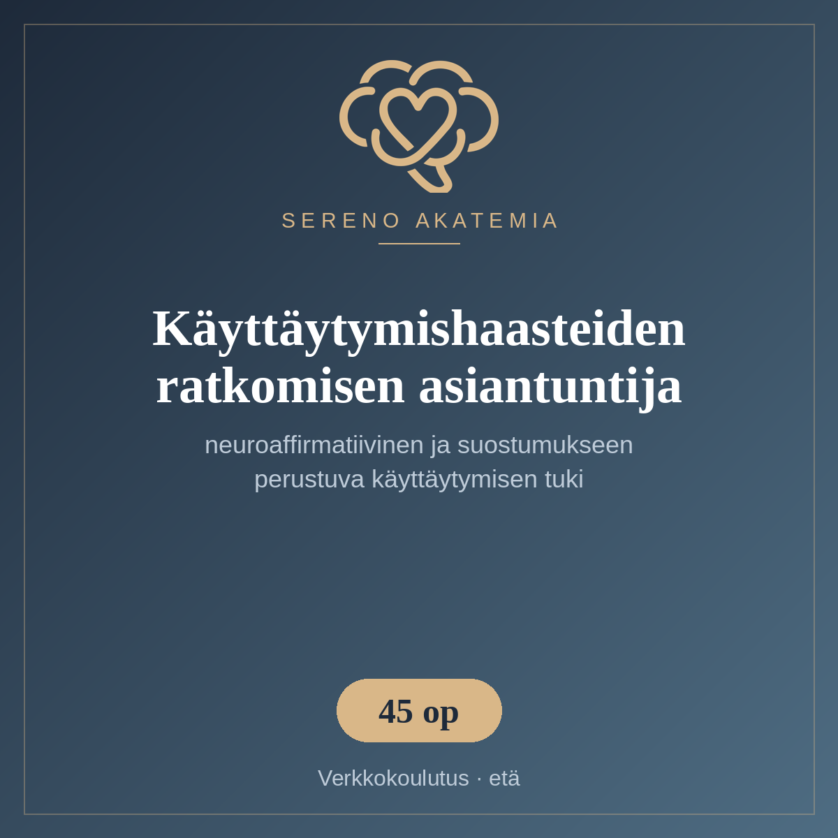 Käyttäytymishaasteiden ratkomisen asiantuntija